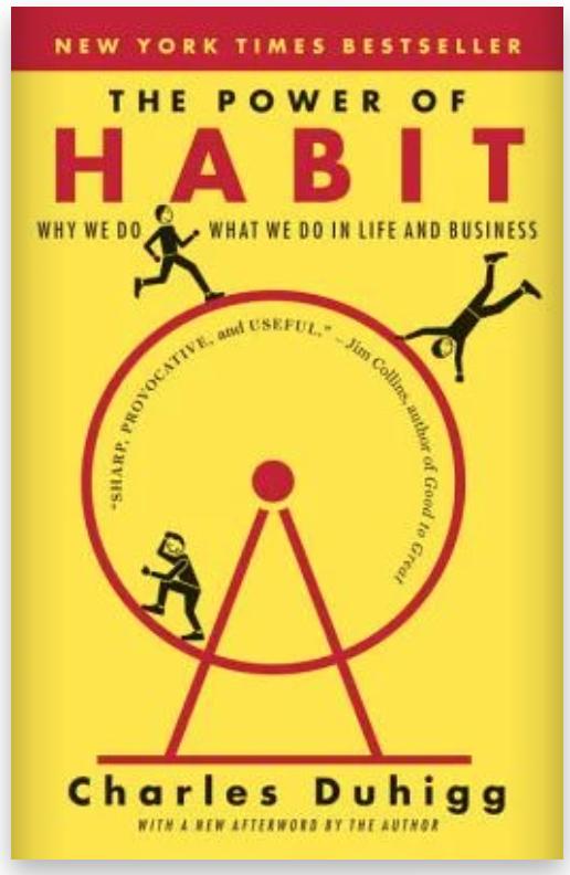 The Power Of Habit: This book is a classic on building great habits.