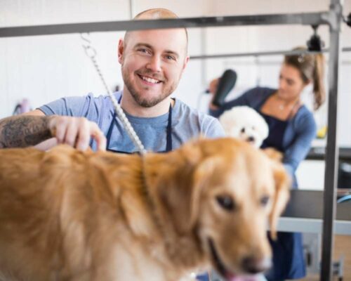 How to start a business in a garage: Doing pet grooming can be a creative idea, especially if you enjoy working with pets.