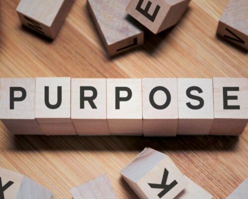 What is the main purpose of going into business? The purpose of business is about serving others.