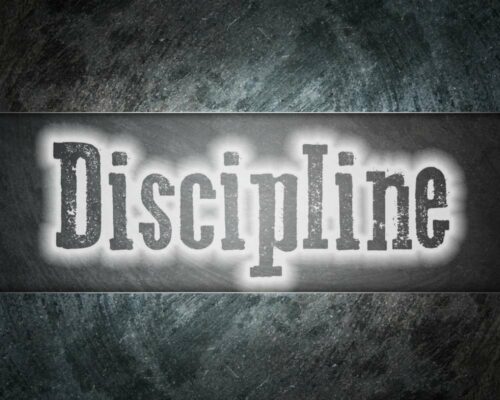Why doesn't everyone start a business? A lack of discipline often leads to people not getting the results they want.