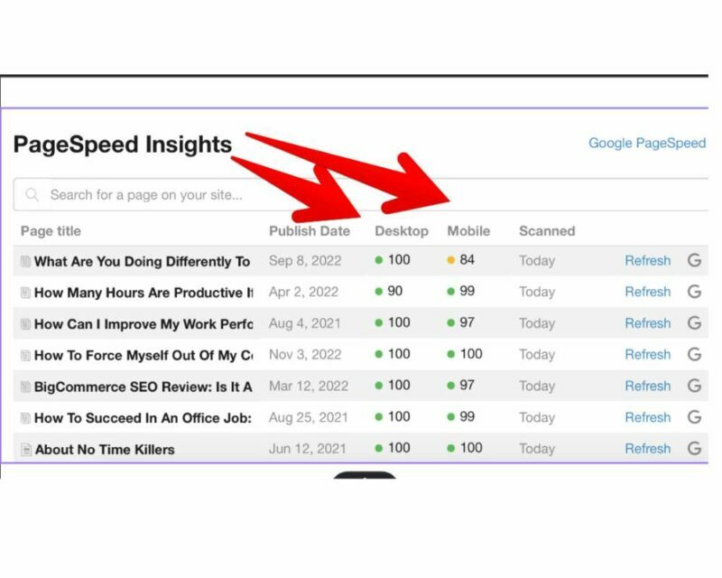 What is SiteRubix? Pagespeed Insights is a neat feature to check the speed of your website.
